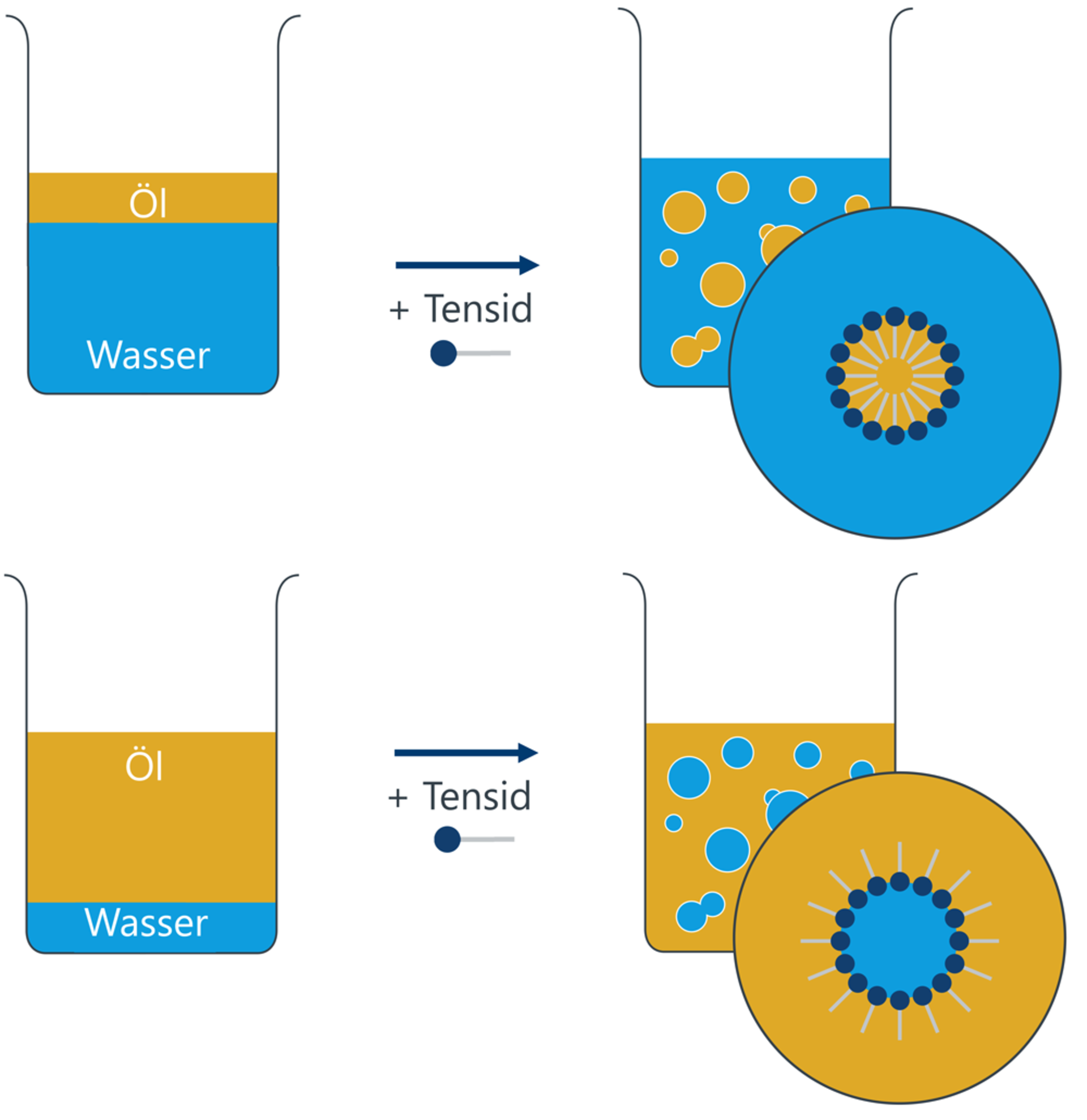 Je nach Volumenanteil bilden sich unter geeigneten Bedingungen Öl-in-Wasser- oder Wasser-in-Öl-Emulsionen (O/W vs. W/O). Das zugesetzte Tensid mit einem hydrophilen „Kopf“ und einer hydrophoben Kette („Schwanz“) lagert sich an die Tröpfchen an und stabilisiert sie. Dabei ragt der hydrophobe Teil jeweils in die Ölphase – in der Abbildung oben in die Öltropfen, unten in das Öl als kontinuierliche Phase. Je nach Volumenanteil bilden sich unter geeigneten Bedingungen Öl-in-Wasser- oder Wasser-in-Öl-Emulsionen (O/W vs. W/O). Das zugesetzte Tensid mit einem hydrophilen „Kopf“ und einer hydrophoben Kette („Schwanz“) lagert sich an die Tröpfchen an und stabilisiert sie. Dabei ragt der hydrophobe Teil jeweils in die Ölphase – in der Abbildung oben in die Öltropfen, unten in das Öl als kontinuierliche Phase.